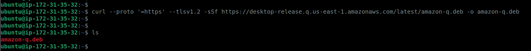 Install AmazonQ