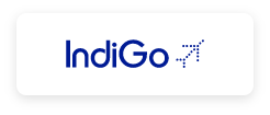 indigo indigo